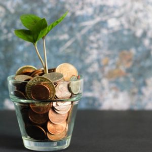 Coins in planter