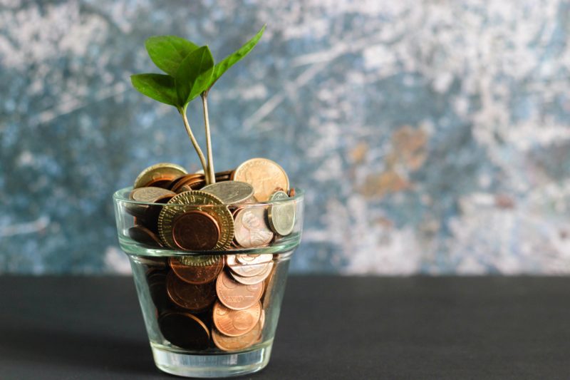 Coins in planter